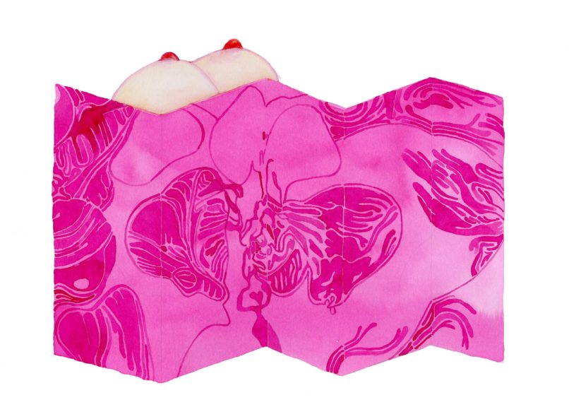 Bestiaire érotique 6