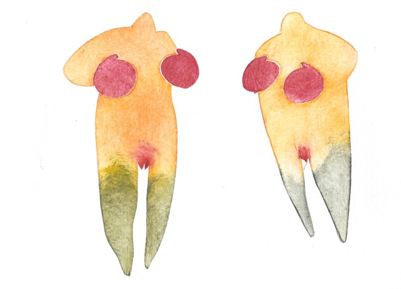 Boxeuses